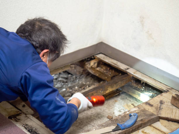 Best Water Damage Restoration  in Crownsville, MD