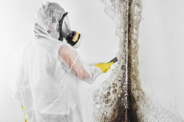 Best Crawl Space Mold Removal  in Crownsville, MD
