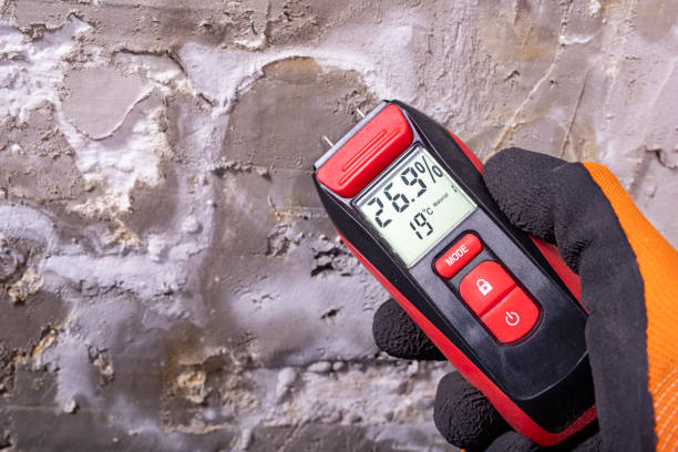 Best Residential Mold Removal  in Crownsville, MD