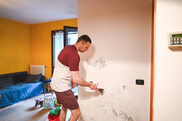 Best Best Mold Removal Companies  in Crownsville, MD