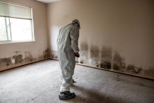 Best Toxic Mold Removal  in Crownsville, MD
