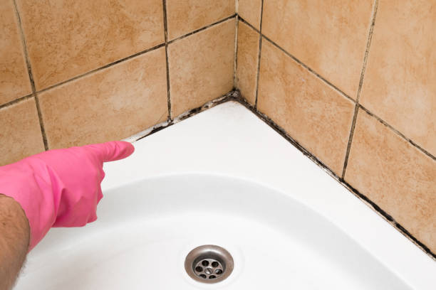 Best Office Mold Removal Services  in Crownsville, MD